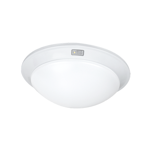 大號斜邊吸頂燈(兩種光源)